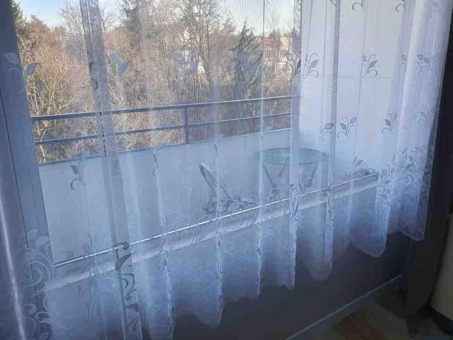 Apartment 55 I Cental Hof I Wifi I Tv Dış mekan fotoğraf